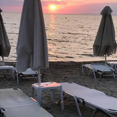 Bara Hotel